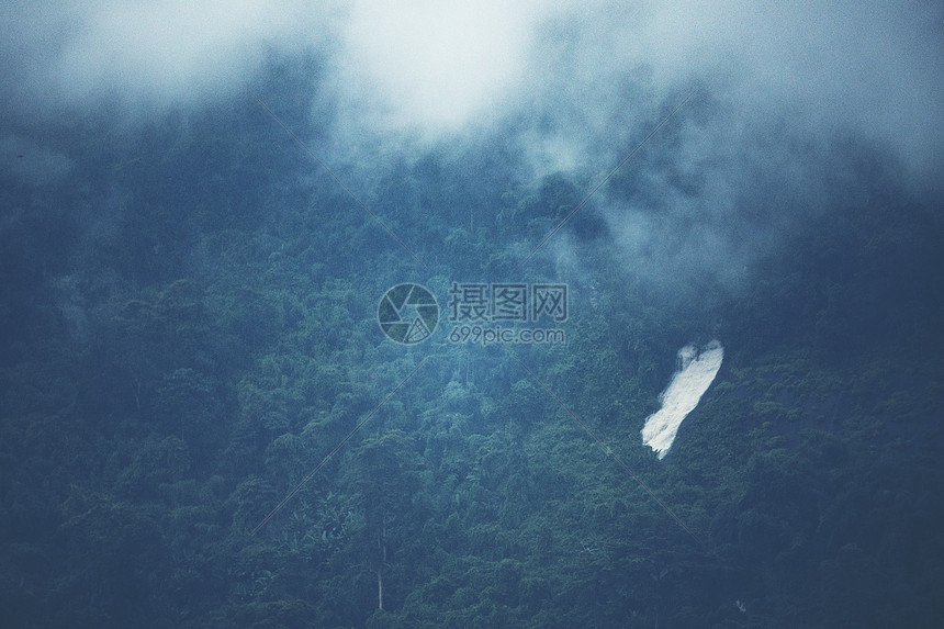 热带雨林景观景观,自然景观图片