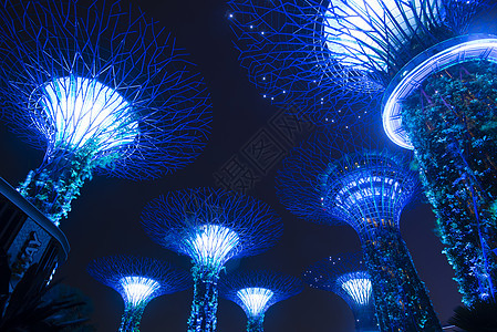 新加坡，夜间海湾旁的花园展示超级树木树林图片