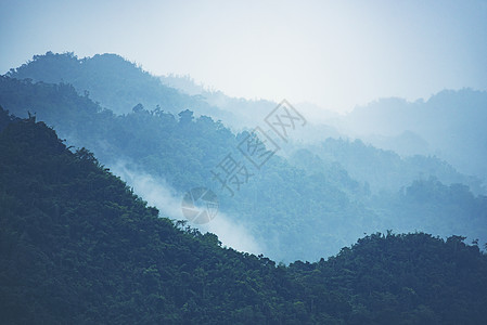 亚洲热带雨林,自然景观背景图片