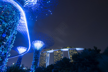 新加坡,20187月12日20187月12日新加坡,夜间海湾旁的花园展示超级树木树林图片