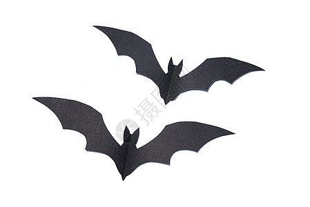 蝙蝠图案万节象隔离白色,剪纸背景
