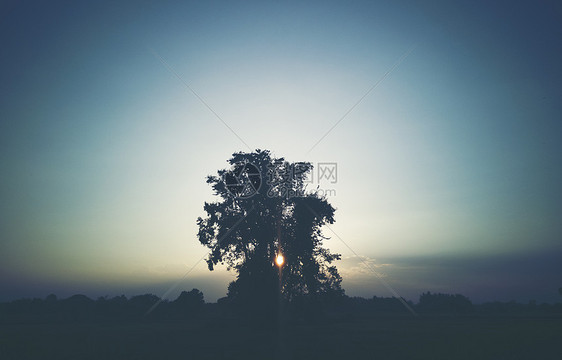 孤树伴夕阳,黄昏时分图片