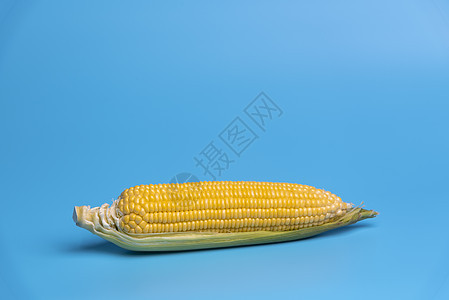 蓝色背景的新鲜机玉米图片