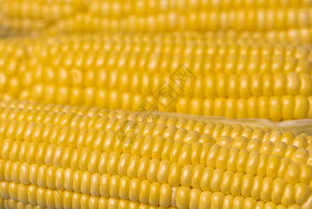 玉米质地背景,新鲜机玉米图片
