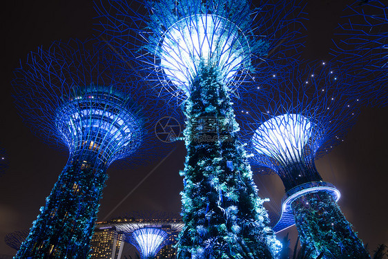 新加坡海湾花园夜间的超级树花园图片
