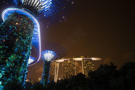 新加坡海湾花园夜间的超级树花园图片