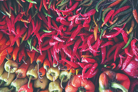 菜园农场的辣椒图片