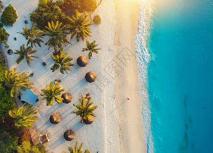 日落时,印度洋的沙滩上俯瞰雨伞棕榈树非洲桑给巴尔的暑假热带景观棕榈树,阳伞,白沙,碧水,海浪的风景图片