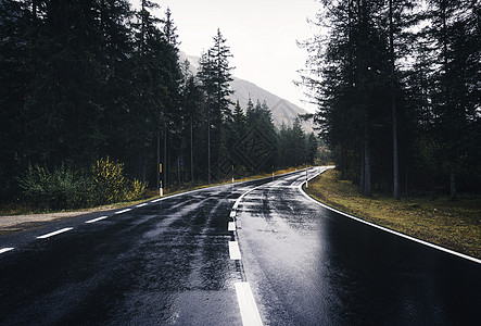 雨中春林的道路阴雨天完美的沥青山路倒影松树的巷道复古风格运输雾林中的空公路旅行背景图片