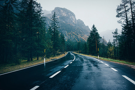 雨中春林的道路阴雨天完美的沥青山路倒影松树的巷道复古风格运输雾林中的空公路旅行背景图片