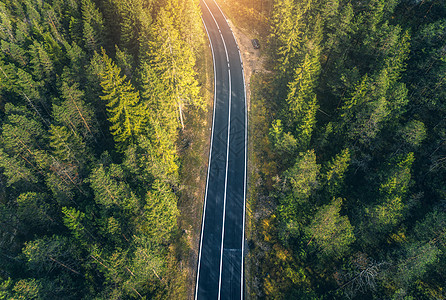 白云岩日落时美丽的春天森林中道路的鸟瞰图完美的沥青巷道,绿色的松树自然景观与公路林地欧洲旅行图片