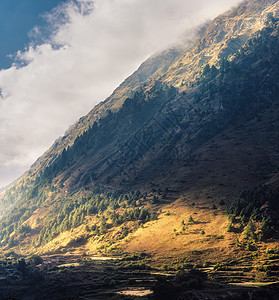 夏天日落时,山上的树木被阳光照亮喜马拉雅山脉的景观覆盖着绿色的森林草地,蓝色的多云的天空阳光晚上尼泊尔喜马拉图片
