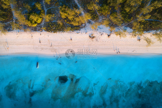 日落时,沙滩上绿树蓝海的鸟瞰暑假印度洋桑给巴尔,非洲热带景观棕榈树,白沙,碧水,海浪的风景图片