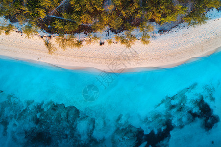 日落时,沙滩上绿树蓝海的鸟瞰暑假印度洋桑给巴尔,非洲热带景观棕榈树,白沙,碧水,海浪的风景图片
