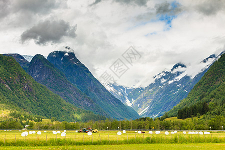 农业景观与秸秆包装田间谷物干草包裹塑料白箔,夏天挪威,斯堪的纳维亚欧洲用塑料箔包裹的干草,挪威图片