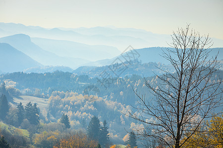 秋落雾山景观斯洛伐克塔特拉秋天的颜色山上的树米西的早晨季节自然风光秋季雾山景观斯洛伐克图片