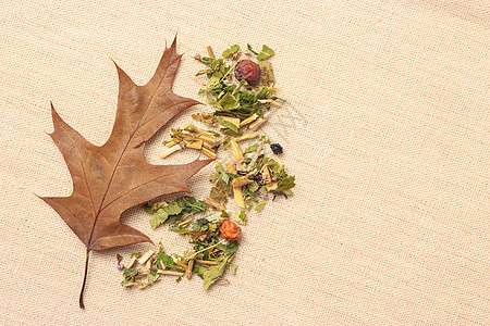 堆各式各样的天然药用干草叶花瓣水果,麻布表秋天的橡树叶秋天的干燥的草本叶秋天的橡树叶图片
