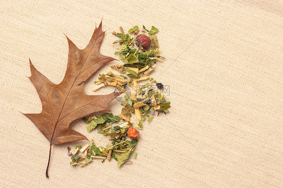 堆各式各样的天然药用干草叶花瓣水果,麻布表秋天的橡树叶秋天的干燥的草本叶秋天的橡树叶图片