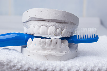 口腔卫生健康理念牙科石膏模型石膏中的特写蓝色牙刷图片
