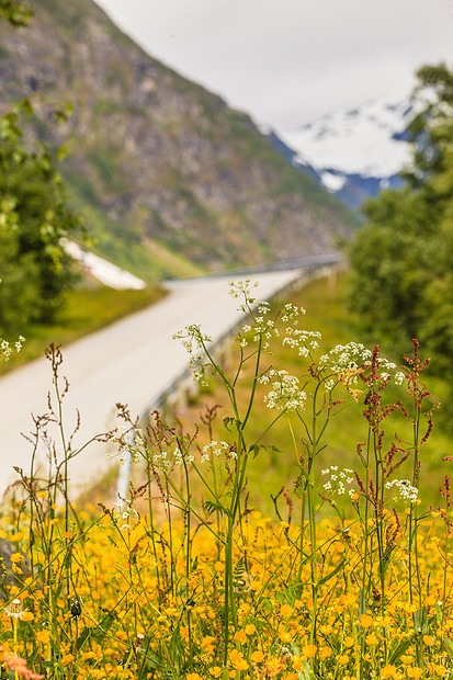 穿过挪威山脉的路美丽的风景旅行旅游挪威山区的道路景观图片