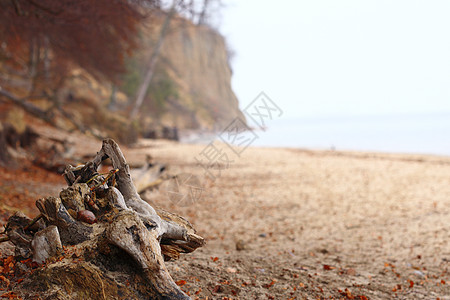 秋天波罗的海悬崖奥洛,格丁尼亚波兰图片