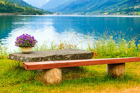 旅游度假旅游宁静的山脉景观,峡湾岸边鲜花的休息场所桌子,挪威峡湾县的奥登村山脉景观,峡湾休息场所,挪威图片