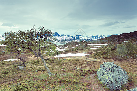 挪威徒步旅行地区,风景秀丽的山景夏天挪威风景优美的山景图片