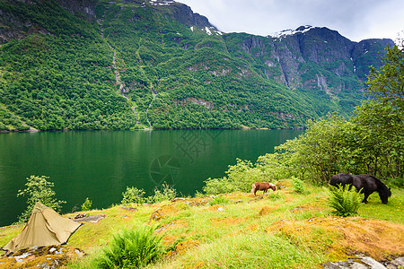 旅游度假旅游山脉景观峡湾帐篷瓦雷尔海岸,挪威斯堪的纳维亚欧洲美丽的自然挪威的山脉景观峡湾图片