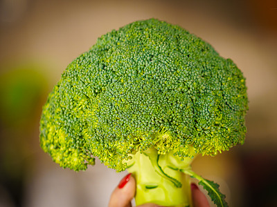 女手生绿色蔬菜西兰花天然机健康食品妇女持西兰花蔬菜图片