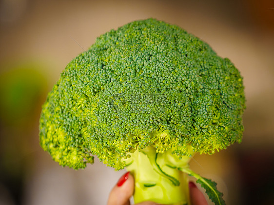 女手生绿色蔬菜西兰花天然机健康食品妇女持西兰花蔬菜图片
