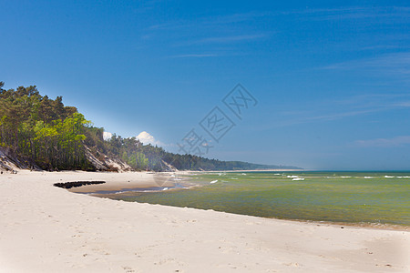 海水,海滩海岸线树木适合暑假的地方海水,海滩海岸线树木图片