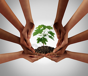 社会社区合作体众筹投资符号个队的同的手,培育棵树苗,树根包裹连接人们,的三维插图风格图片