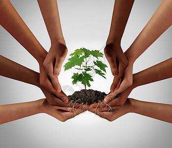 社会社区合作体众筹投资符号个队的同的手,培育棵树苗,树根包裹连接人们,的三维插图风格背景图片
