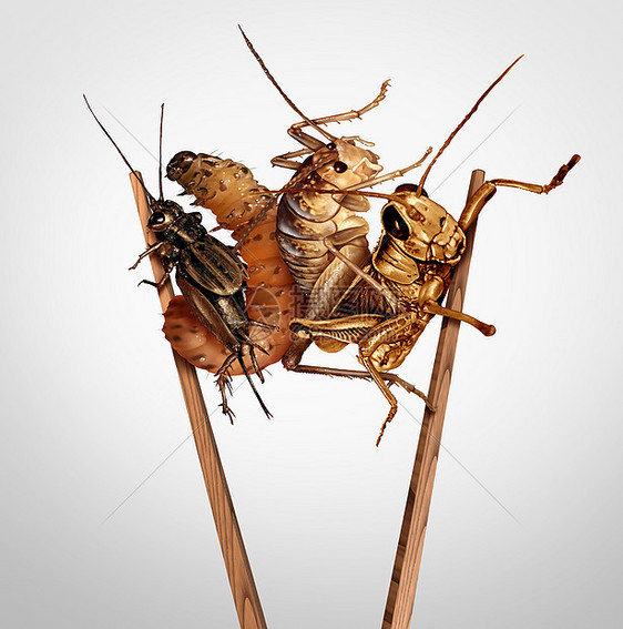 食用昆虫吃虫子吃昆虫小吃异国美食替代高蛋白营养蟋蟀蝗虫幼虫与筷子个符号的昆虫与三维插图元素图片