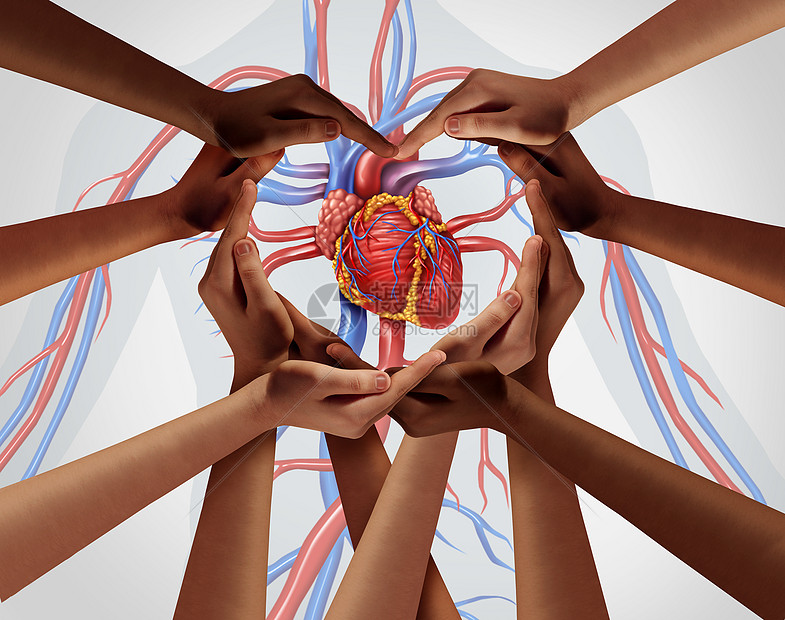 人类心脏群体的支持心脏研究,个爱的象征,医疗保健医疗保险的象征,三维插图风格图片