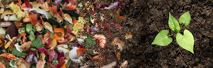 ‘~堆肥堆肥土壤循环堆腐烂的厨余垃圾与水果蔬菜垃圾废物变成机肥土与生长的轻植物复合材料  ~’ 的图片