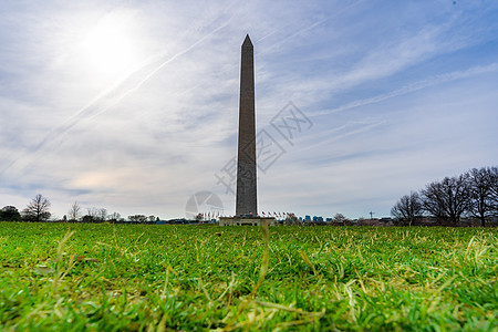华盛顿纪念碑与绿色草地华盛顿特区美国图片