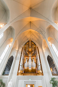 冰岛Hallgrimskirkja大教堂美丽的内部图片