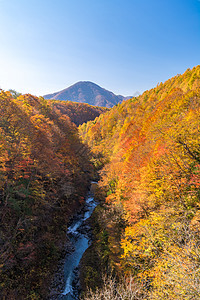 日本秋季福岛大桥上的中川峡图片