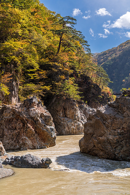 日本尼科托奇吉的琉球峡谷公园娱乐活动区图片