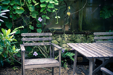 热带花园户外家具的旧木制套,咖啡桌图片