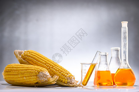 用玉米石油生物燃料溶液制成生物燃料图片