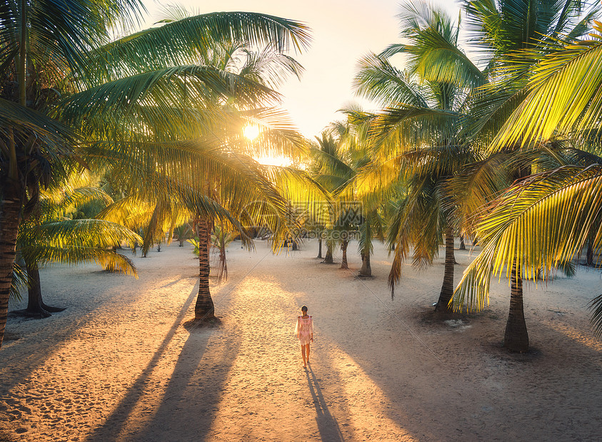 美丽的轻女子日落时走棕榈巷暑假旅行热带景观与苗条的女孩穿着白色蕾丝连衣裙沙滩上,绿色的棕榈树,橙色的阳光非图片