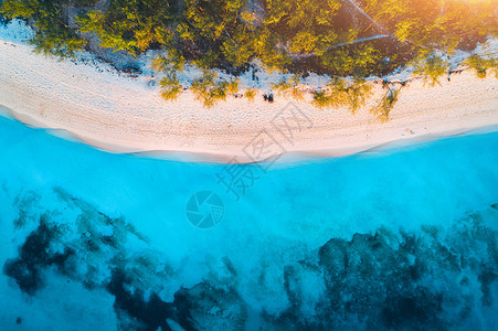 日落时,沙滩上绿树蓝海的鸟瞰暑假非洲的印度洋热带景观棕榈树,白沙,清澈的碧水,海浪的风景自然图片