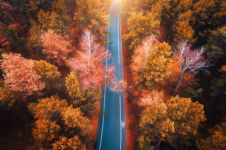 日落时美丽的秋林中的道路鸟瞰完美的沥青道路的顶部景观,秋天橙色叶子的树木五颜六色的景观与公路穿过林地旅行日落时图片