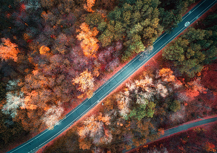 日落时美丽的秋林中的道路鸟瞰五颜六色的景观与空旷的乡村道路,树木与红色,黄色橙色的叶子秋天穿过公园的高速公路图片