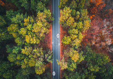 日落时美丽的秋林中的道路鸟瞰五颜六色的景观与空旷的沥青道路,树木与红色叶子公路的风景自然秋天的颜图片