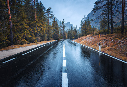 雨中秋林中的道路图片