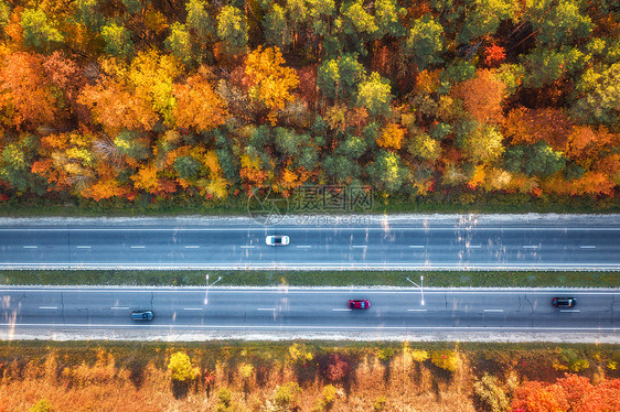 日落时美丽的秋林中的道路鸟瞰五颜六色的景观与公路,汽车,树木与红色,黄色橙色的叶子巷道的顶部视图秋天的颜色秋天图片