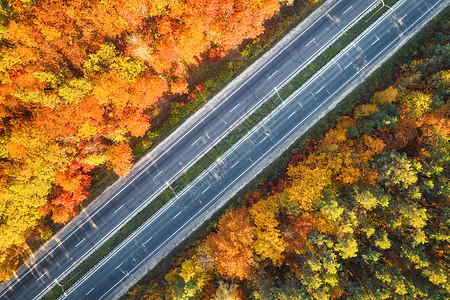 日落时美丽的秋林中的道路鸟瞰五颜六色的景观与公路,汽车,树木与红色,黄色橙色的叶子巷道的顶部视图秋天的颜色秋天背景图片